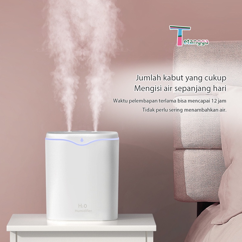 Dual Mist  Humidifier / Humidifier Kapasita USB Dengan Lampu Malam VS-1833