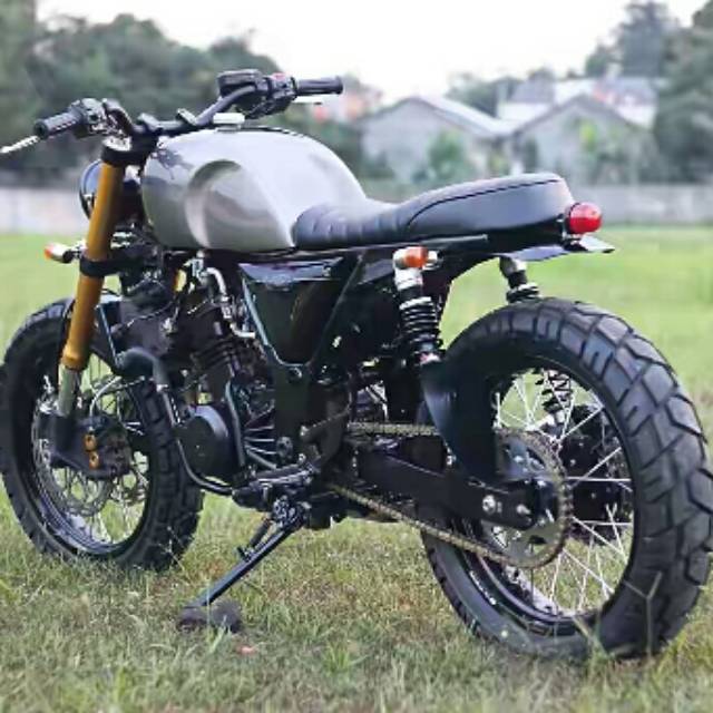 antho213
