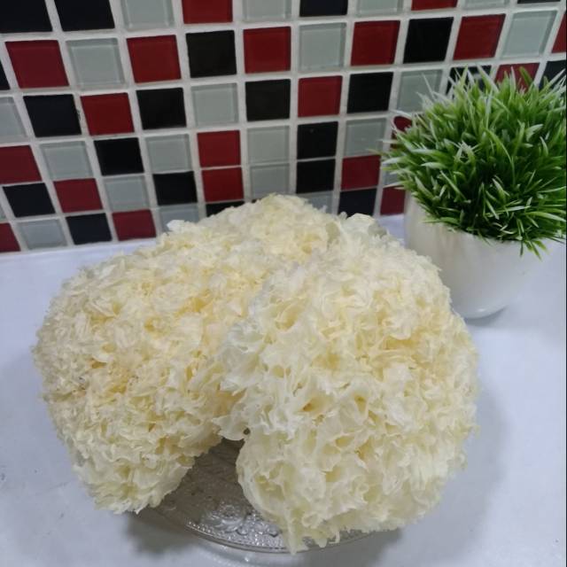 Jamur Es/Jamur Putih 100 gr, 250 gr