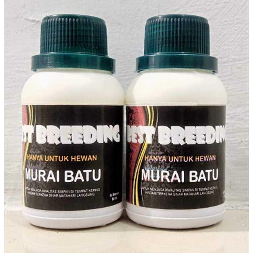 best breeding murai batu isi 80 ml vitamin ternak breding burung murai batu