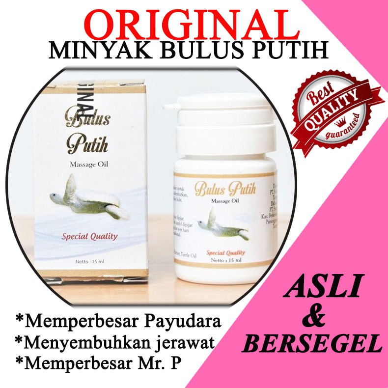 Minyak Bulus Putih Original