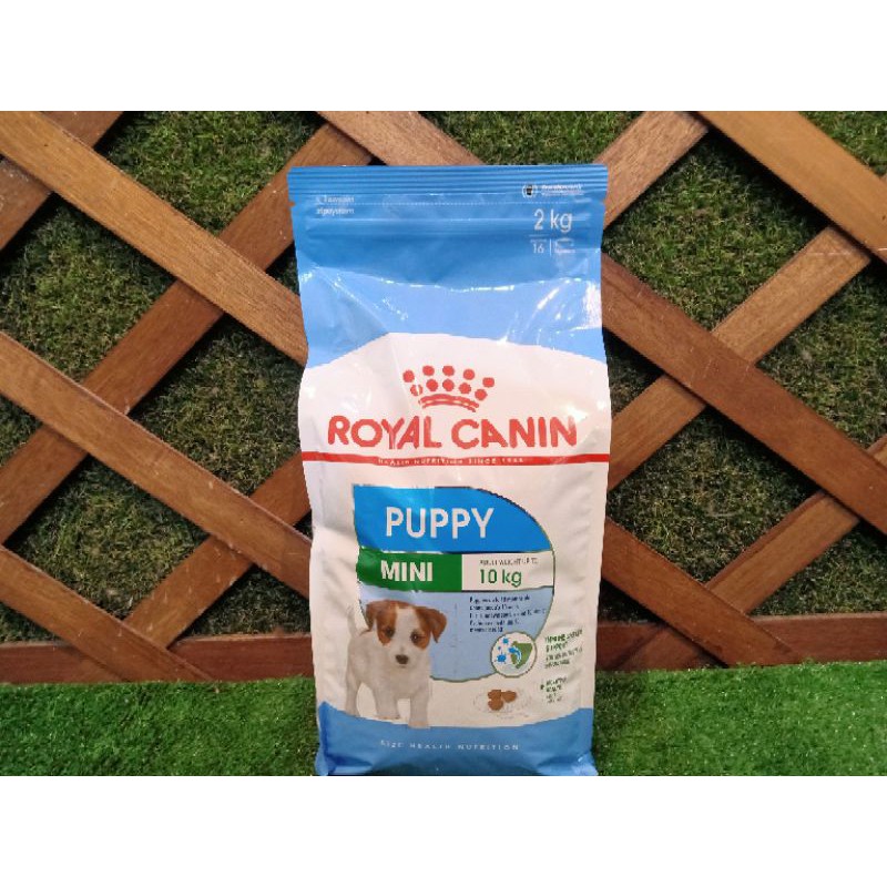 Royal Canin Mini Puppy 2Kg / makanan anjing kecil untuk anjing dengan berat badan sampai 10kg