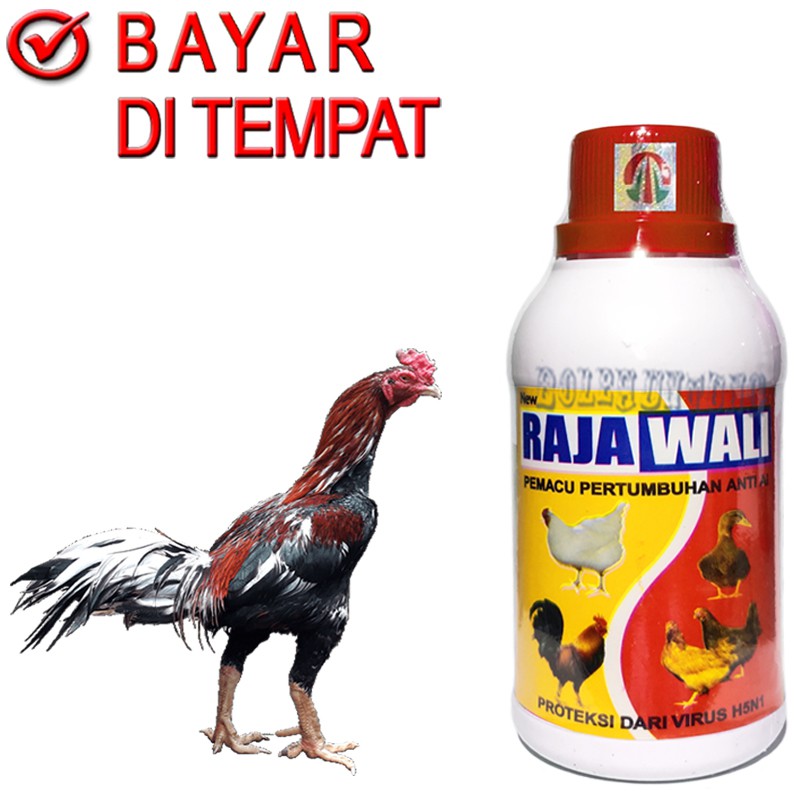 RAJAWALI Vitamin Ayam Jago Bebek Burung Penambah Daging Nafsu Makan Penggemuk