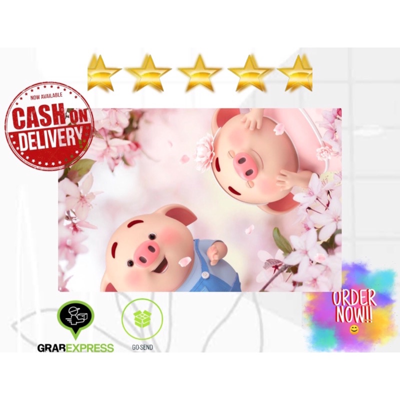 GARSKIN LAPTOP PIG (BISA CUSTOM)