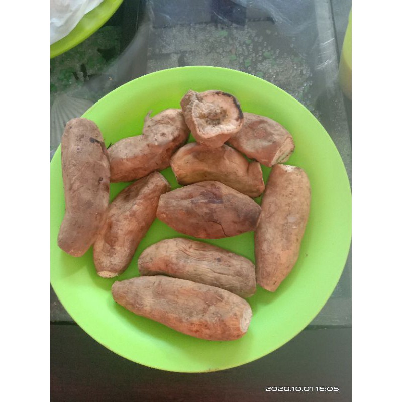 

ubi cilembu
