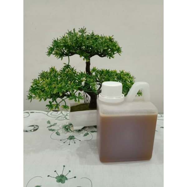 

Madu Sialang Manis 500gr
