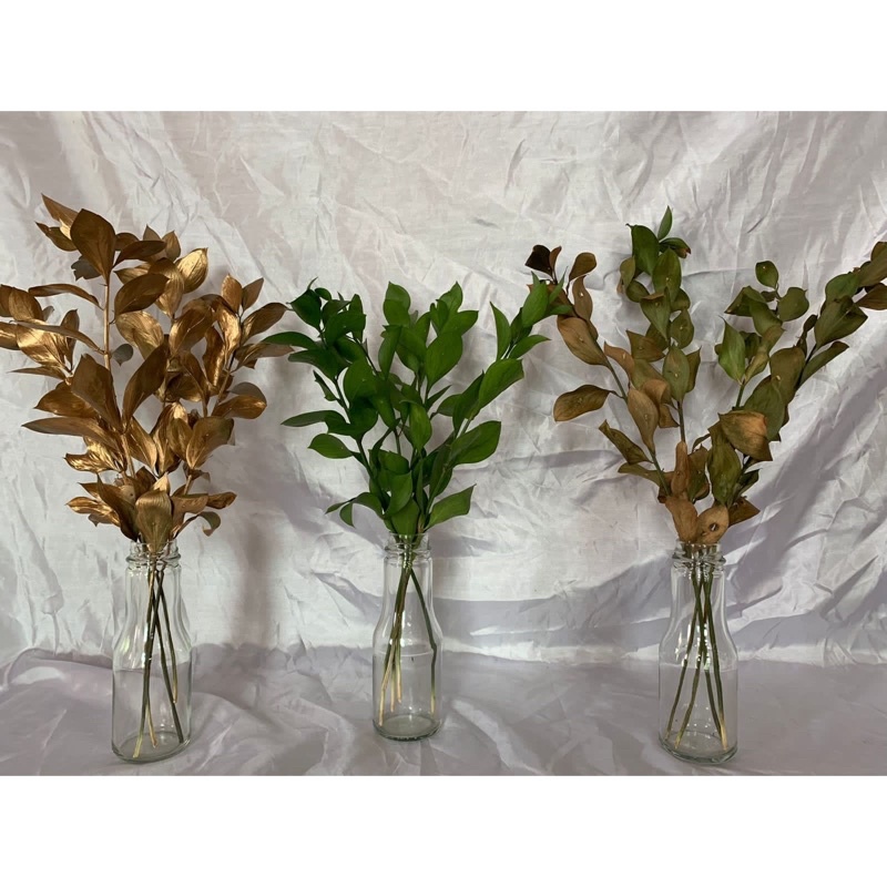 BUNGA RUSKUS KERING / dried flowers