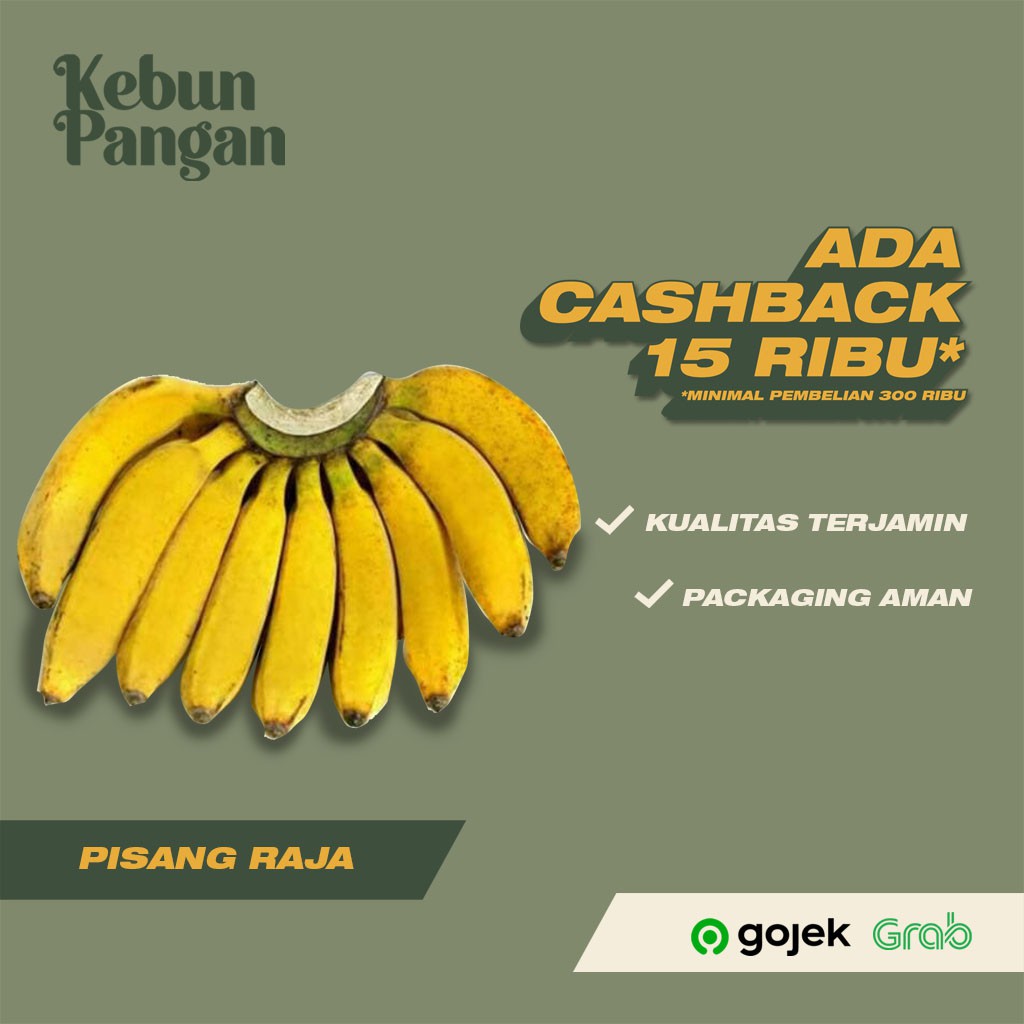 Buah Pisang Raja Fresh 1 Kg Indonesia