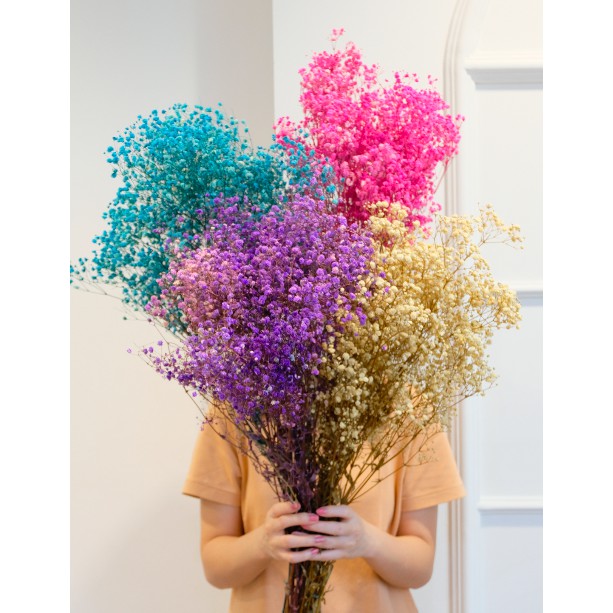 SATUAN // DRIED BABY BREATH // BUNGA KERING BABY BREATH