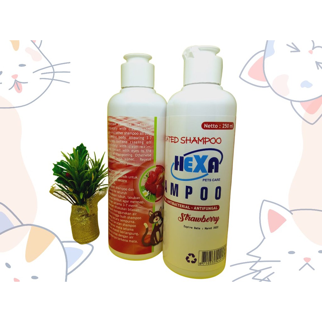 HEXA MEDICATED SHAMPO ALL IN ONE ( Anti Kutu, Anti Jamur, &amp; Anti Parasit Kulit)