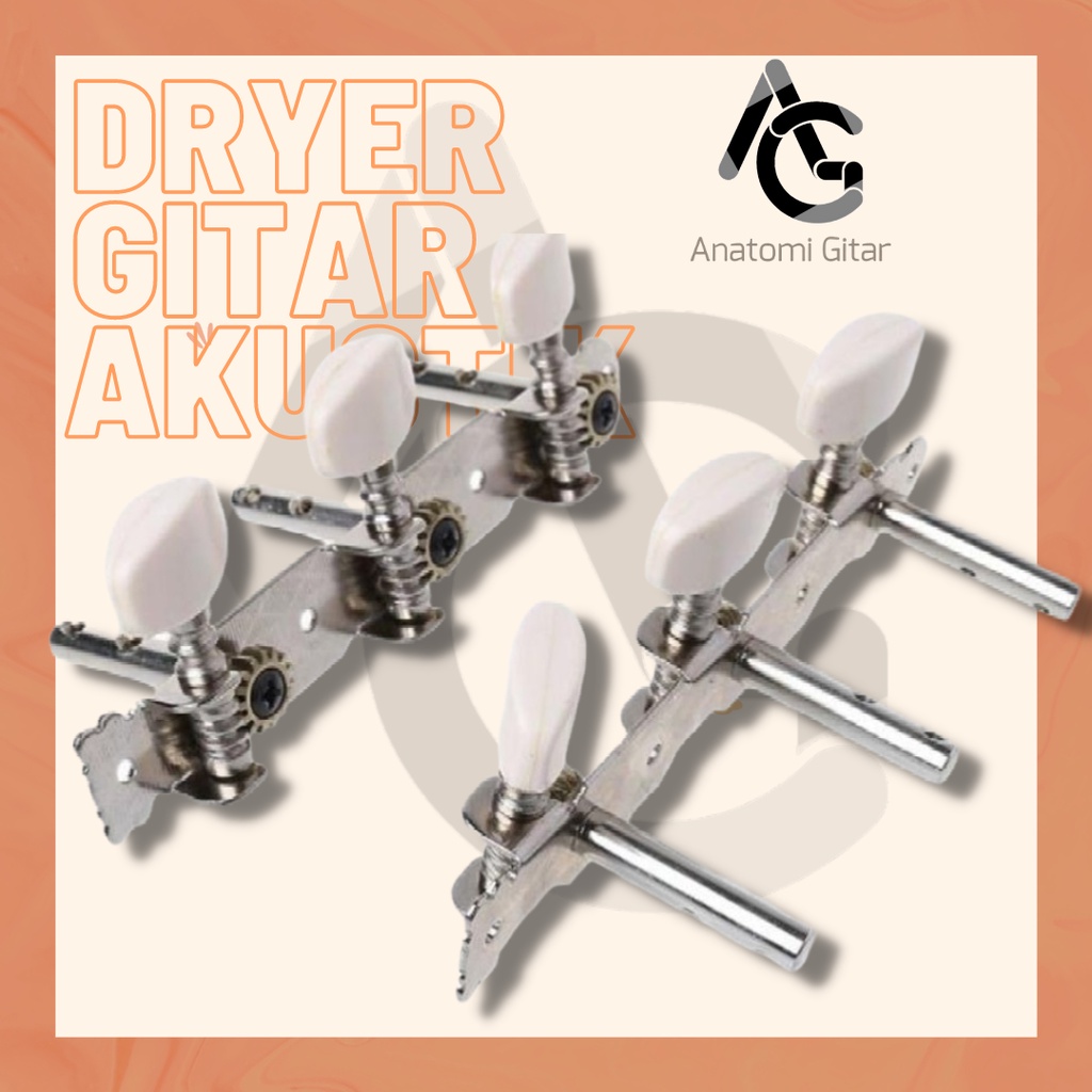 Dryer Gitar Akustik