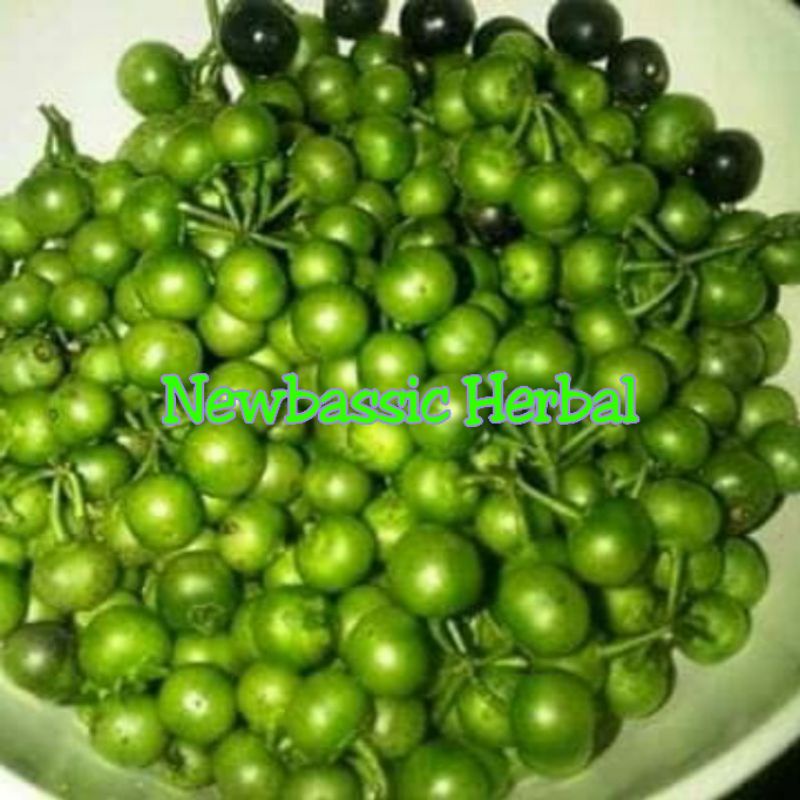 

buah lenca/buah ranti 500 gram