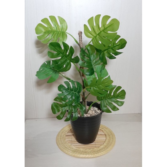 Daun Monstera rambat mini / Monstera Palsu / Monstera Plastik