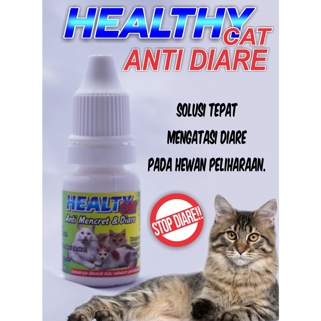 Healty Obat Diare Mencret untuk Kucing