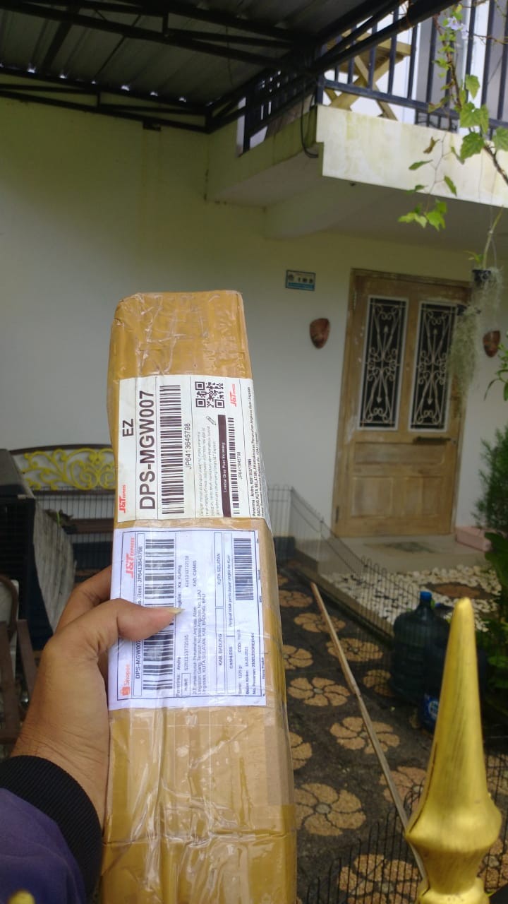 Tanaman Hias Caladium Bercak Merah Keladi Bercak Darah Garis Putih