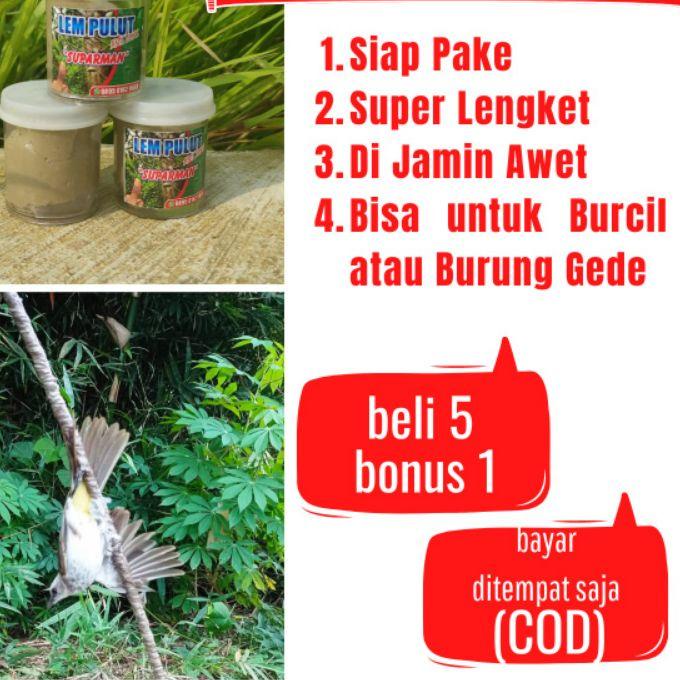 ✨MEGA ⚡ALE✨ PULUT BENDO GETAH BENDO LEM BENDO PULUT LEM GETAH BENDO LEM JEBAK BURUNG GETAH JEBAK BUR