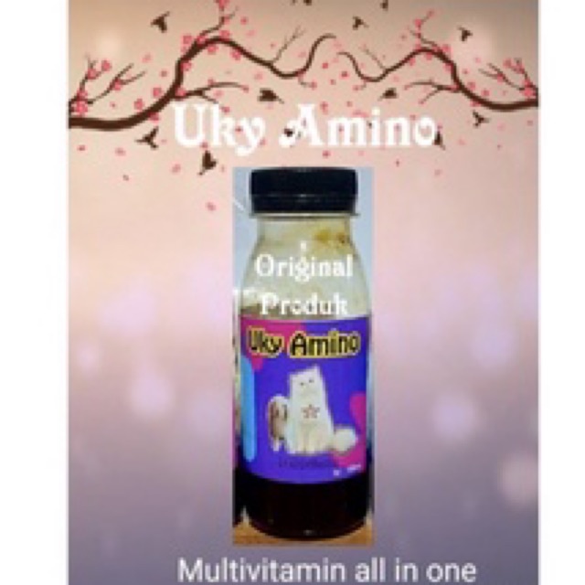 UKY AMINO 100ml all in one vitamin kucing