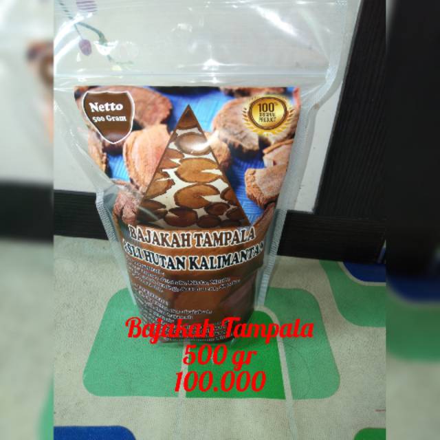 

Bajakah tampala asli hutan kalimantan 100% original