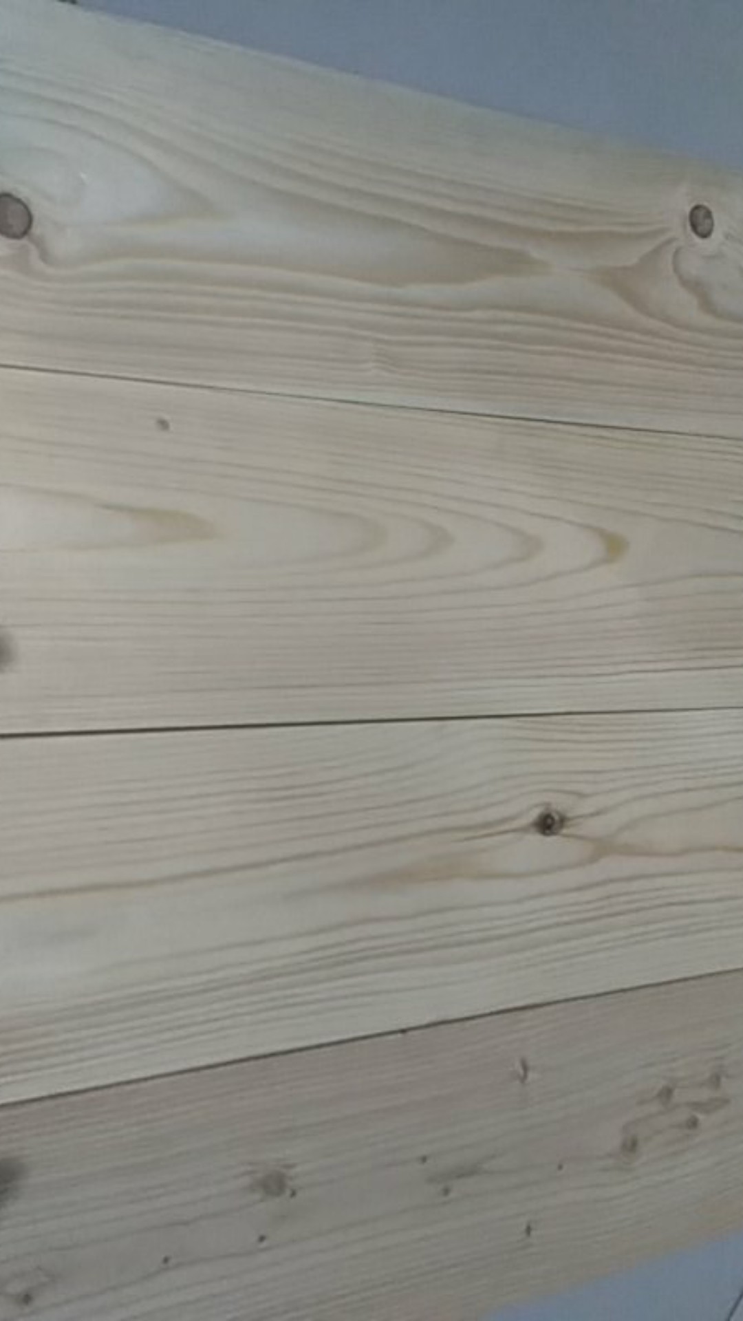 Papan Jati Belanda