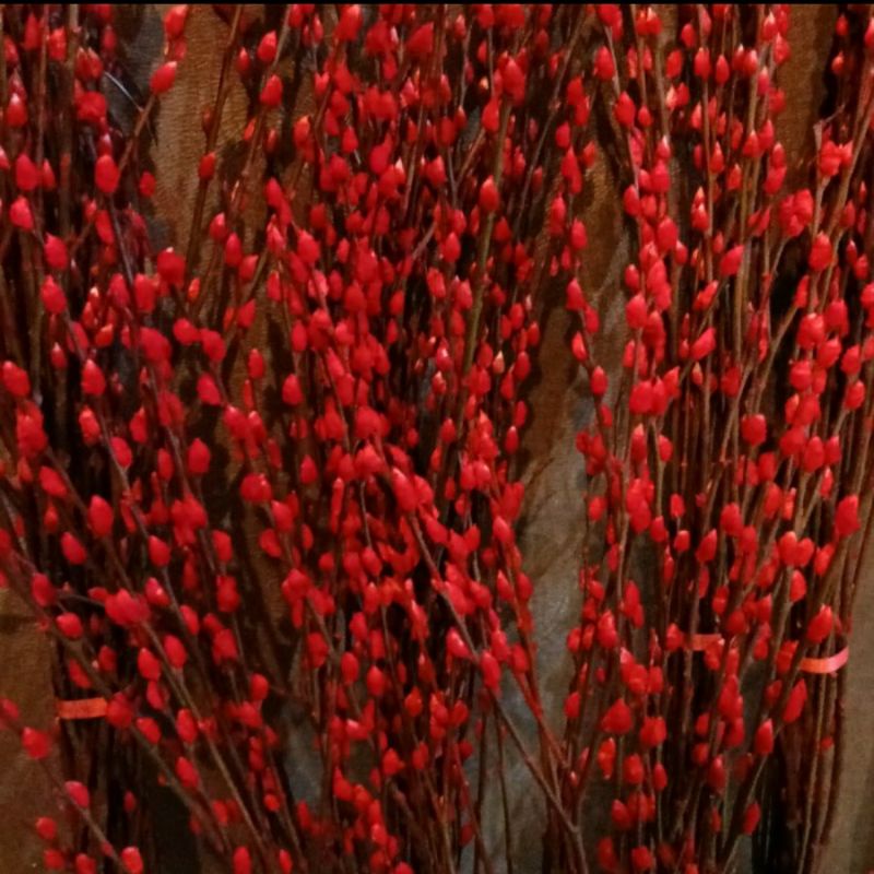 pussy willow imlek 6 feet | bunga kering dekorasi imlek