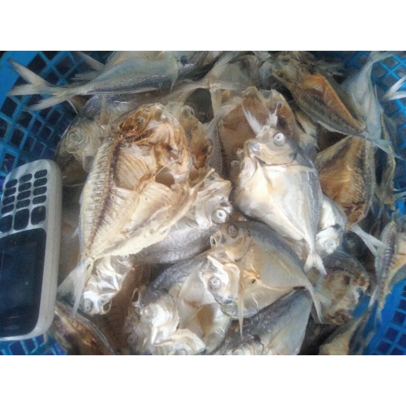 

kalapan
