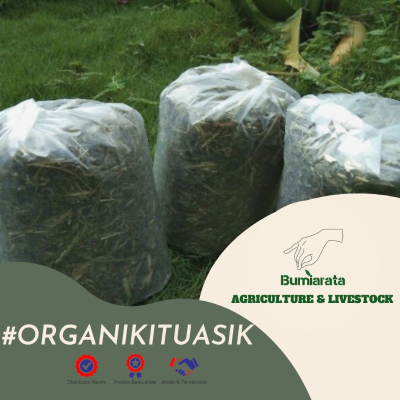 Hay Indigofera 100gr - Indigofera Kering - Pakan Kelinci Ayam Kambing Sapi - Premium Organic Feed