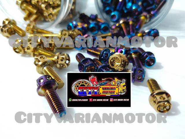 Baut Probolt Gold Flower 6x15 drat 10