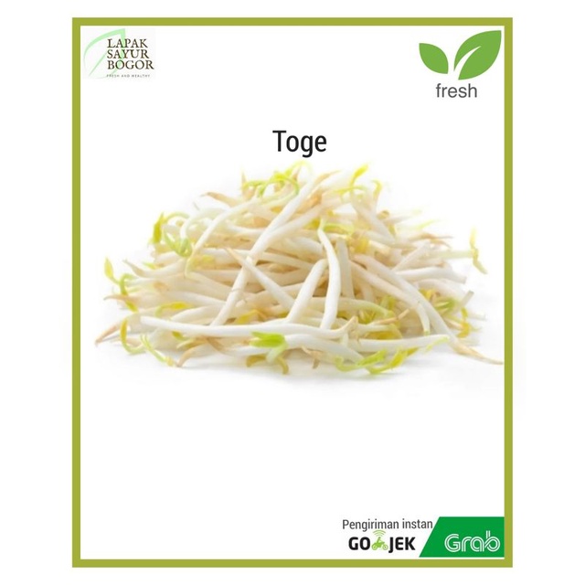 

sayur toge 250gram