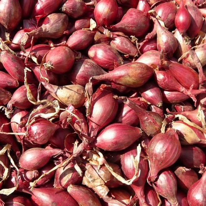 

500gram BAWANG MERAH ASLI DARI PETANI PILIHAN