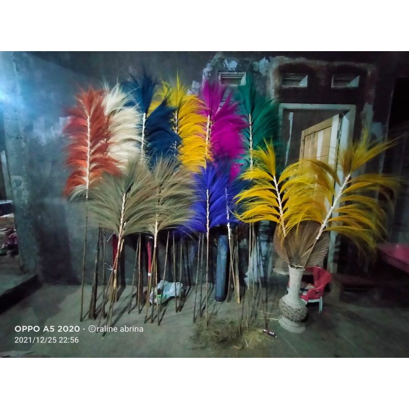 HOME DECOR/RAYUNG STIK 21 CABANG/PAMPAS LOKAL