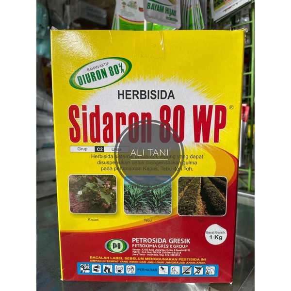 Herbisida/Racun Pembasmi Rumput/Obat Rumput Sidaron 80 WP 1kg