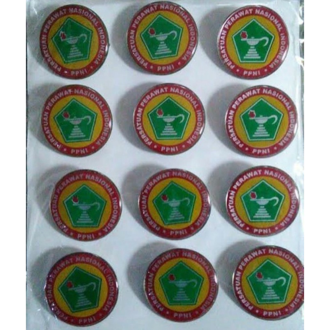 PIN PPNI