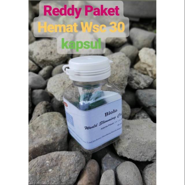 WSC BIOLO ORIGINAL paket 30 kapsul