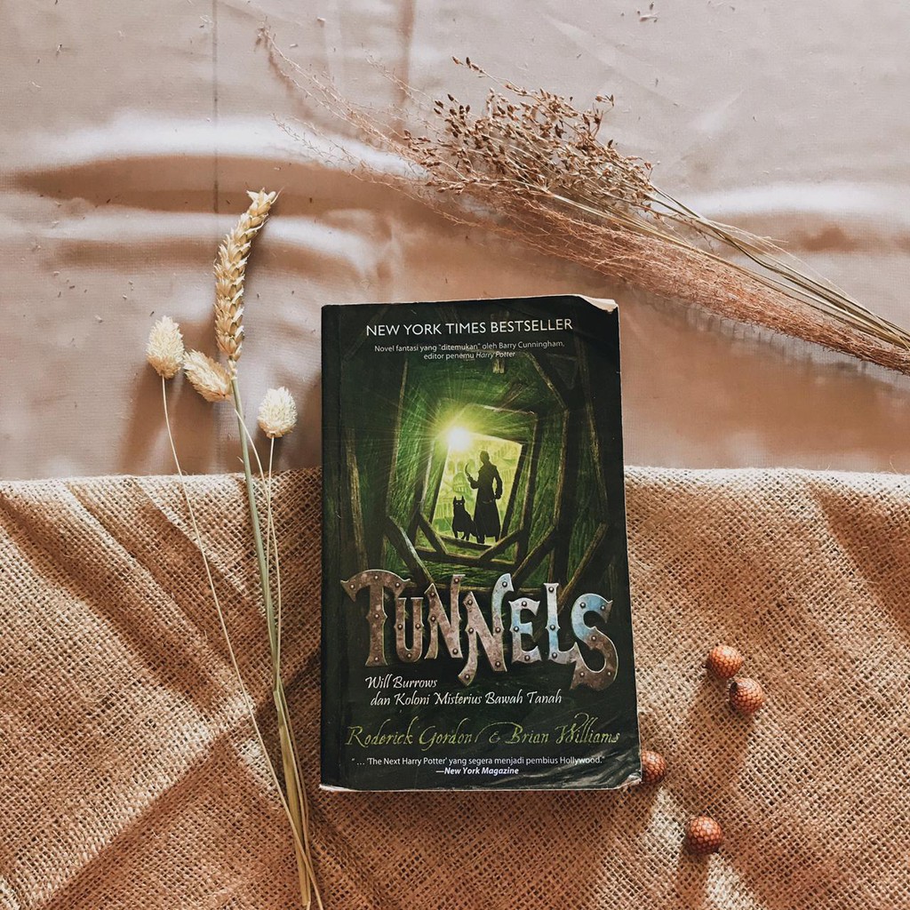 Buku Novel Tunnels Series: Tunnels - Roderick Gordon & Brian Williams