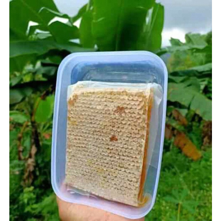 

madu sarang apis mellifera 500gram