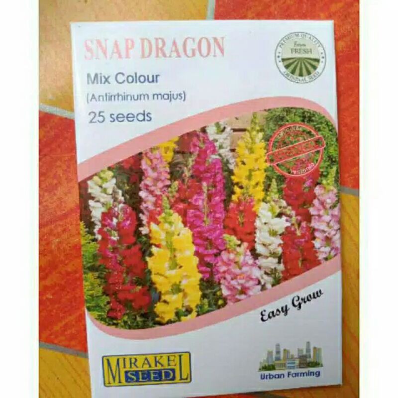 

senep daragon
