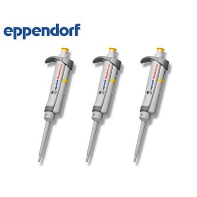 MICROPIPETTE  EPPENDORF ADJUSTABLE