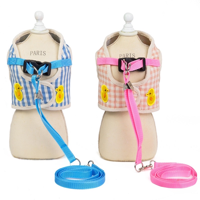 Ducky dodo harness leash set