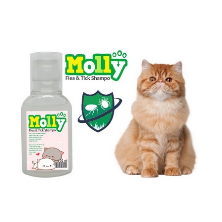 MOLLY SHAMPOO FLEA AND THICK/shampo MOLLY khusus kutu/shampo kucing dan anjing 30ml