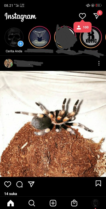 Followers Instagram Real Termurah Jangan Lupa Baca Deskripsi Ya Kak