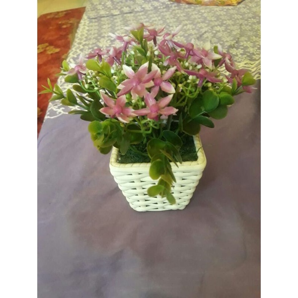 bunga kecil ungu