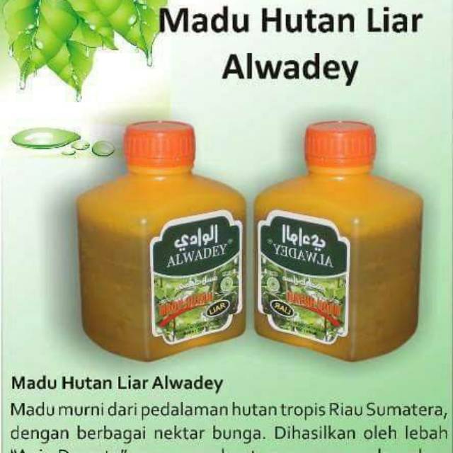 

Madu Hutan Liar Alwadey