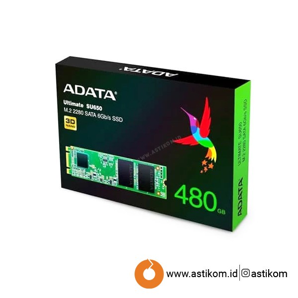 SSD M2 M.2 ADATA SU650 480GB 480 GB| By Astikom