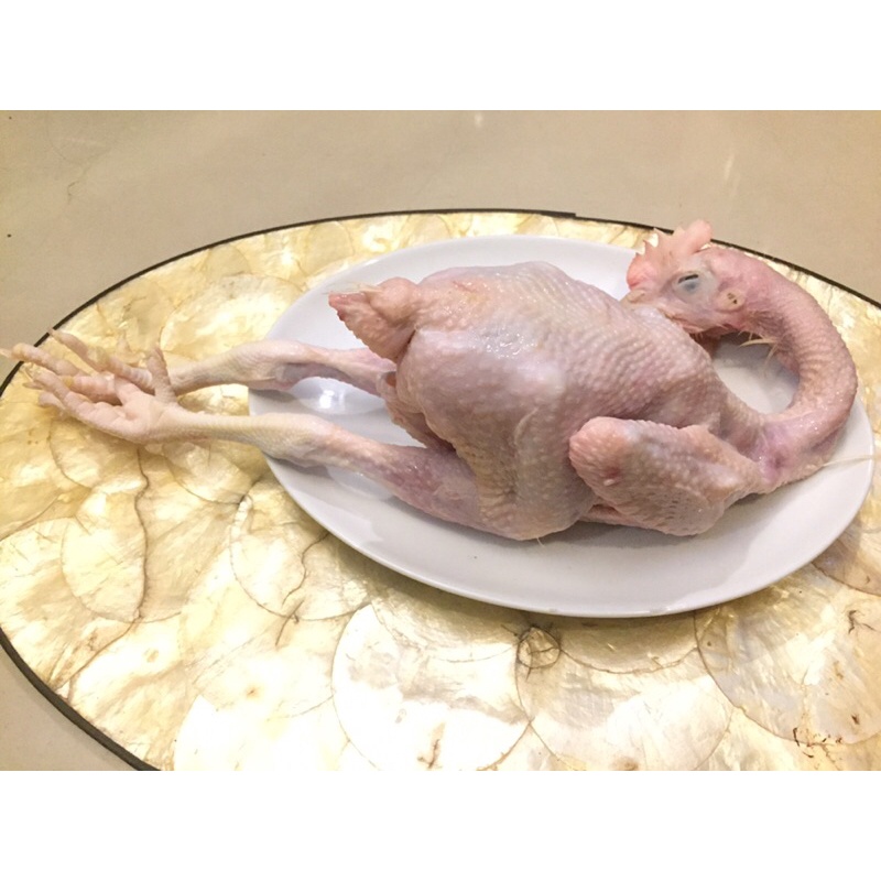 

AYAM PEJANTAN 1 EKOR UTUH 0,8 kg