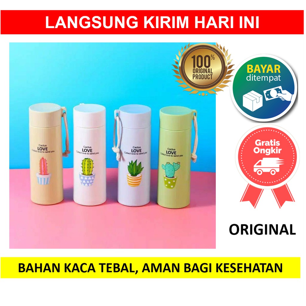 Botol Minum Kaca Kaktus Tumbler Sekolah Kerja Thermos Termos Packing Dus 450mL 450 mL Souvenir Nikah