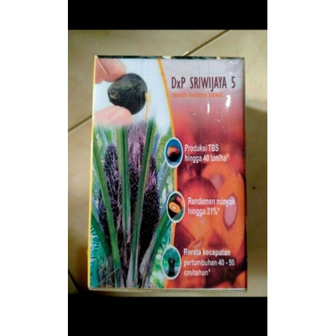 Bibit sawit unggul