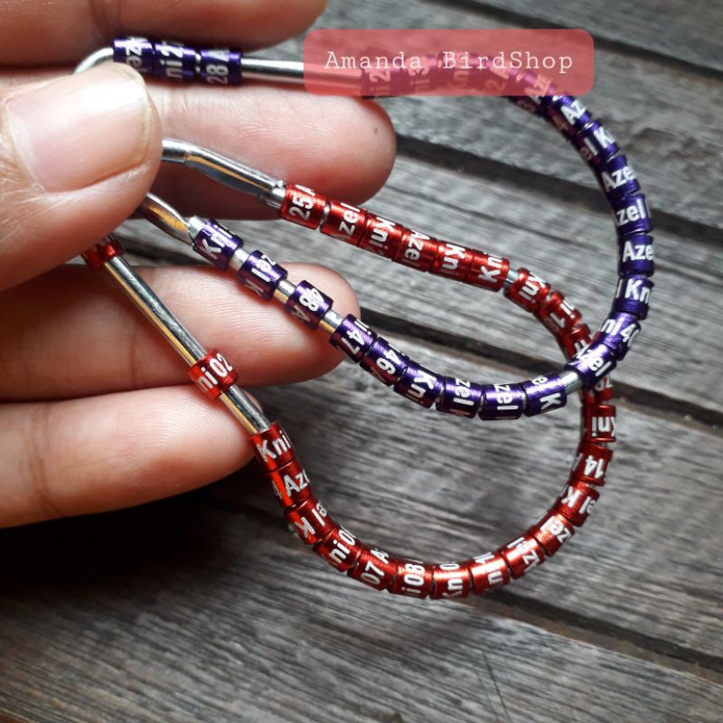 Ring burung laser untuk pleci, blacktrooth,sogon,konin dll