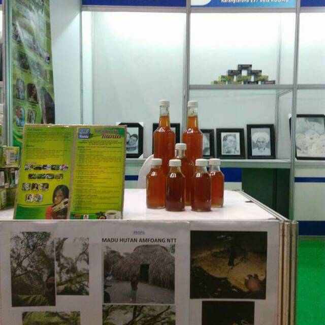 

Madu hutan timor