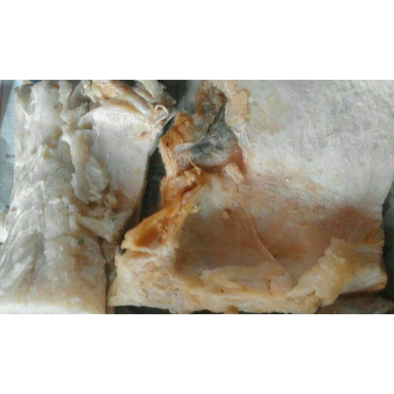 

IKAN_ASIN_TENGGIRI