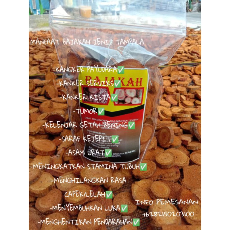 

BAJAKAH TAMPALA MERAH KALTENG